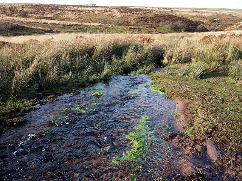 Donation supports vital work for nature