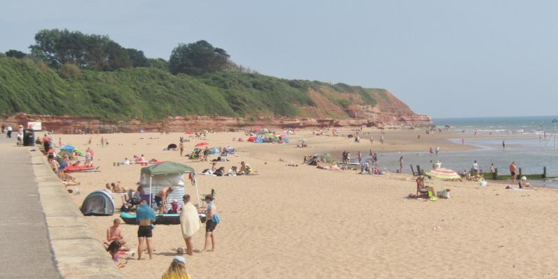 Police appeal after driver 'leaves scene' of serious collision in Exmouth