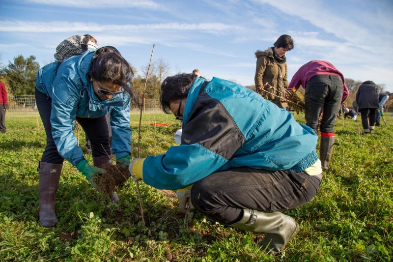 Woodland Trust