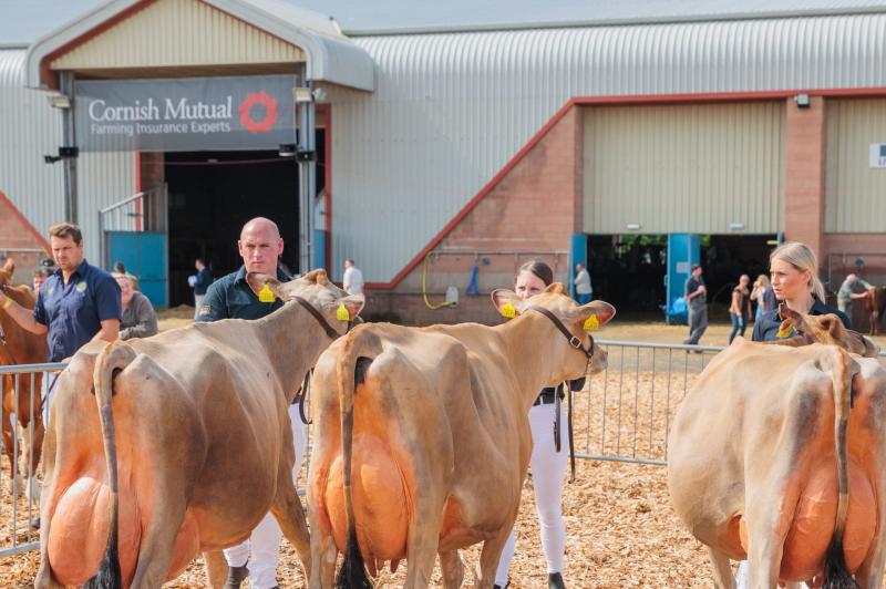 Cornish Mutual becomes headline sponsor of Devon County Show