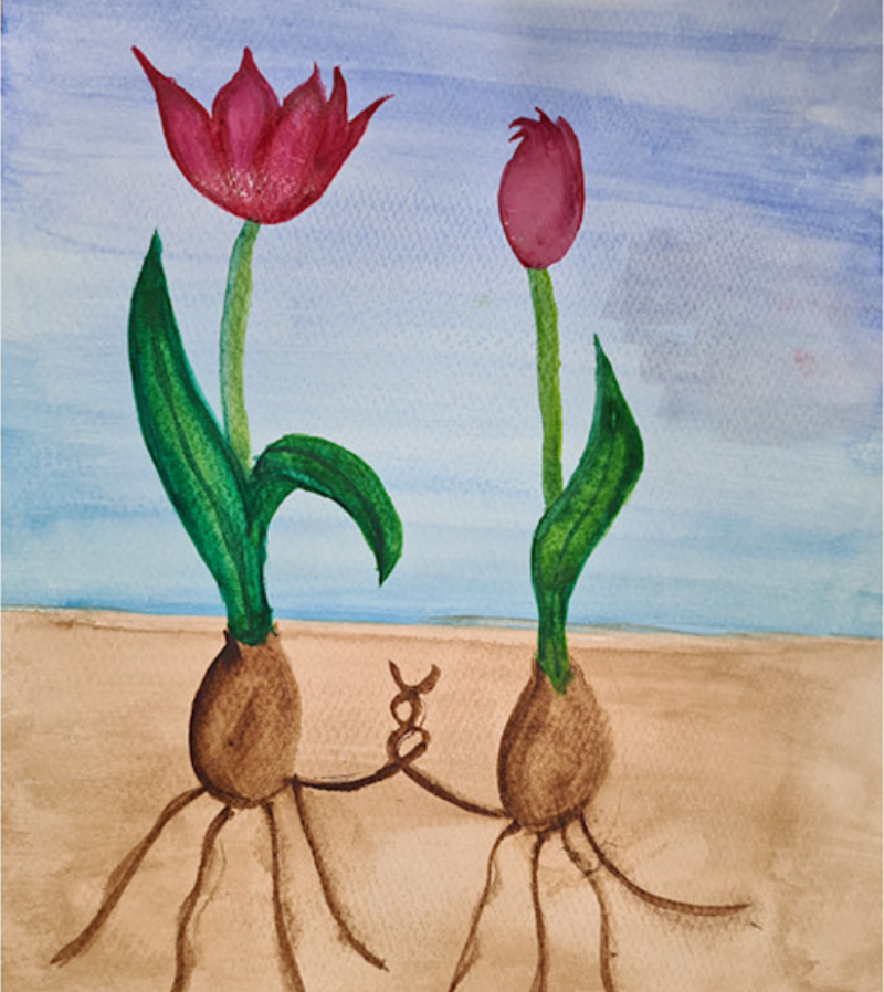  Flourishing © Lucy O’Brien Stage 3 adult pathway student nurse