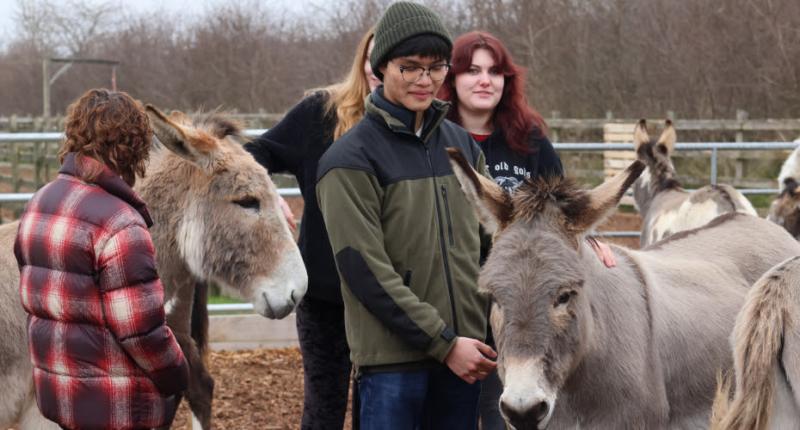 Sidmouth donkeys take lead role in new degree course