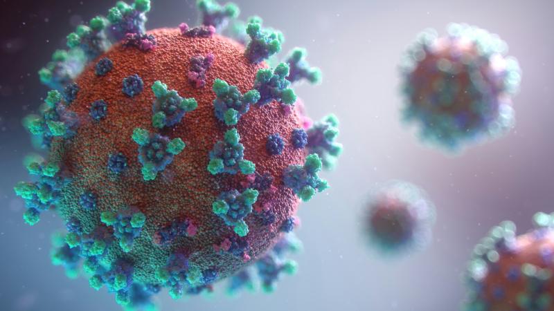 (Image: Fusion Medical Animation/Unsplash)