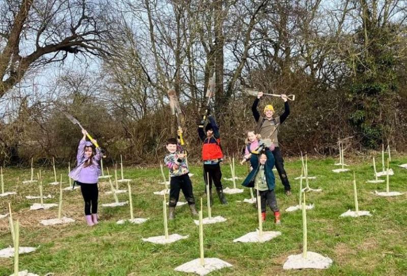 Tree planting at Cranbrook Country Park has been made possible through collaboration with local volunteers, schools, and community groups
