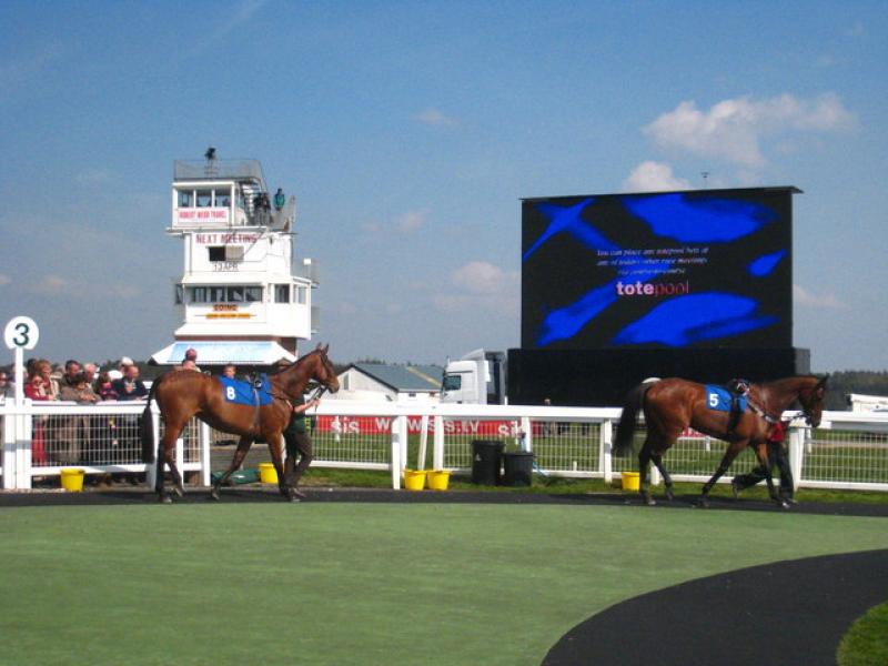 Horses in the Paddock at Exeter Racecourse (Image: Rod Allday/Wikimedia Commons)