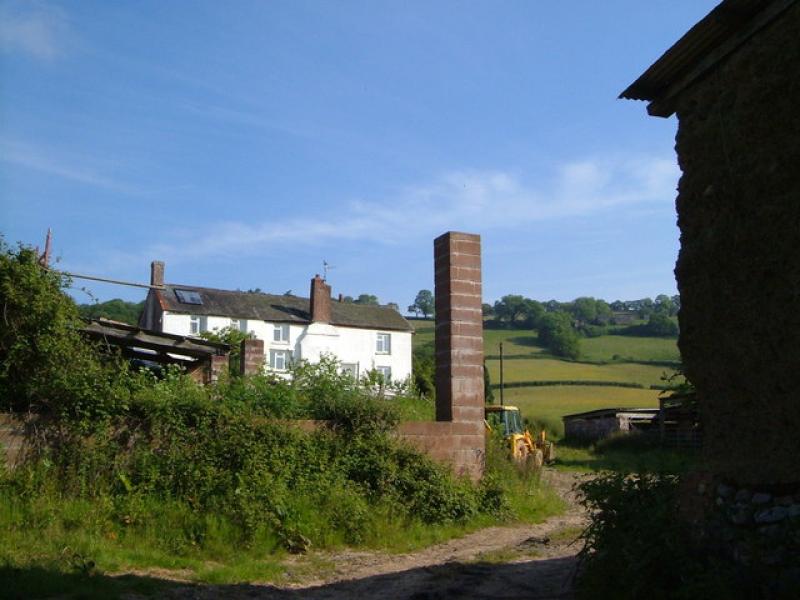 (Image courtesy of Derek Harper / Lower Hare Farm via Wikimedia Commons)