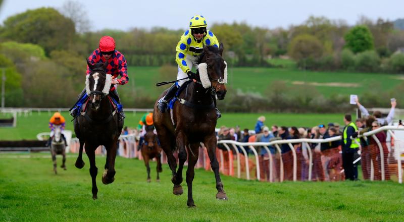 Dunsmore Point to Point. Pic from PPAUK