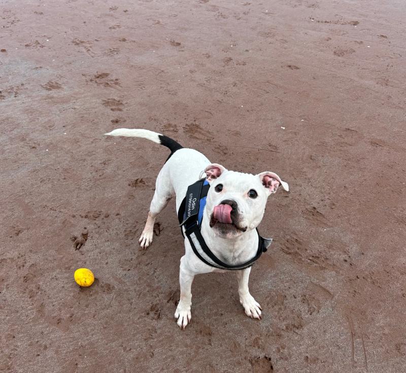 Exeter paws for thought this May