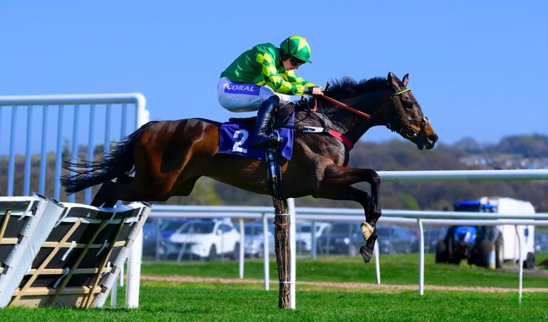 Racing at Newton Abbot. Pic from PPAUK