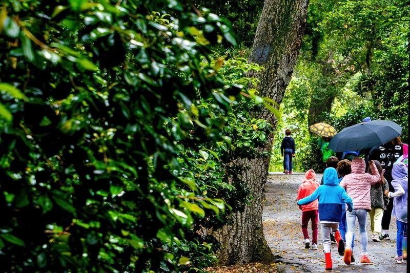 Bank holiday rain? Here's the upside