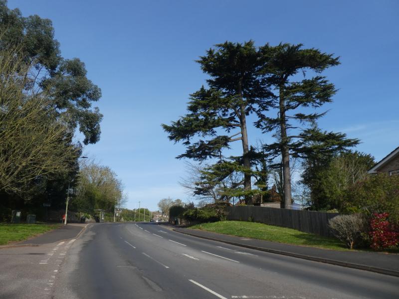 Cowick Lane (Photo: David Smith/ Wikimedia Commons)