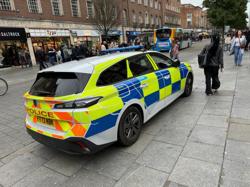 Almost £600 of the money would go towards new police cars
