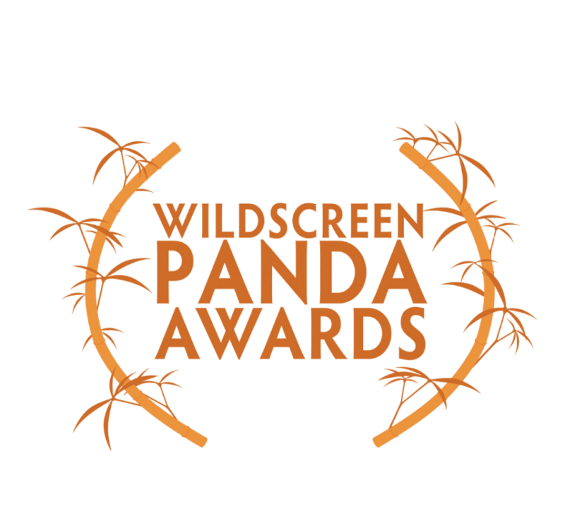 Researcher's wildlife film nominated for a 'Green Oscar'