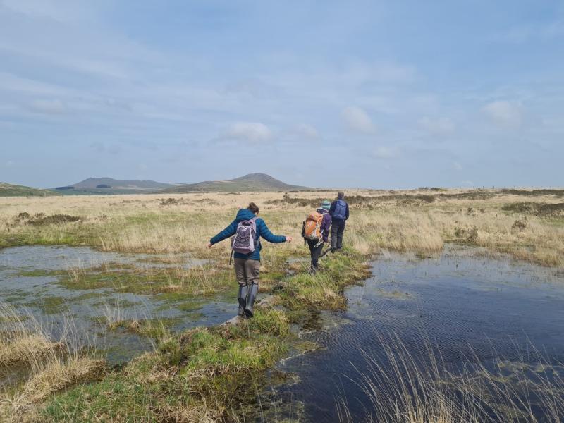 Walkers enjoying areas of peatland restoration