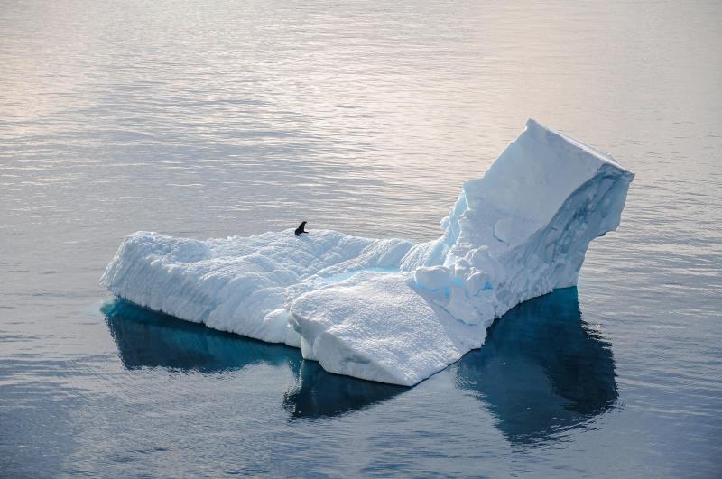 The Arctic slowdown is not unusual