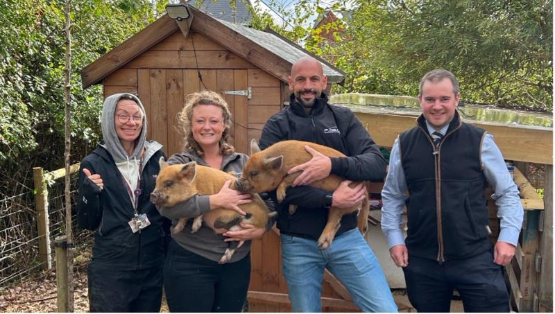 Exeter primary school welcomes Pennywell Farm micro-pigs thanks to Bloor Homes donation