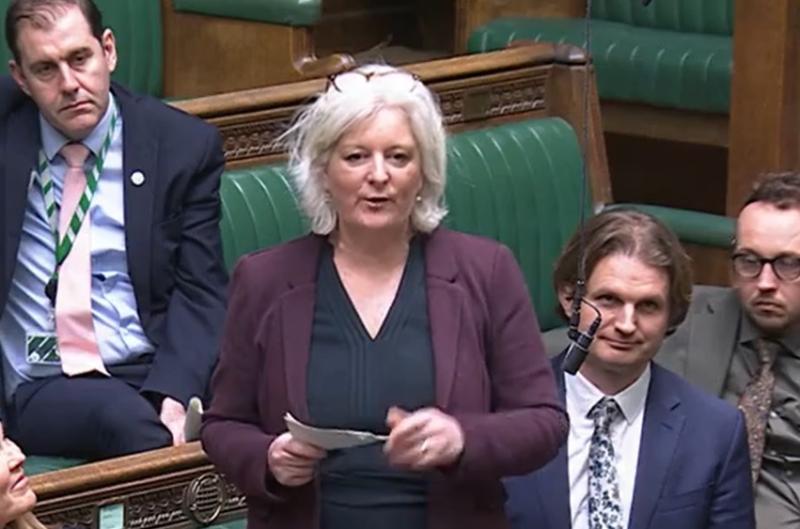 Caroline Voaden in the House of Commons Pic Parliament TV.jpg