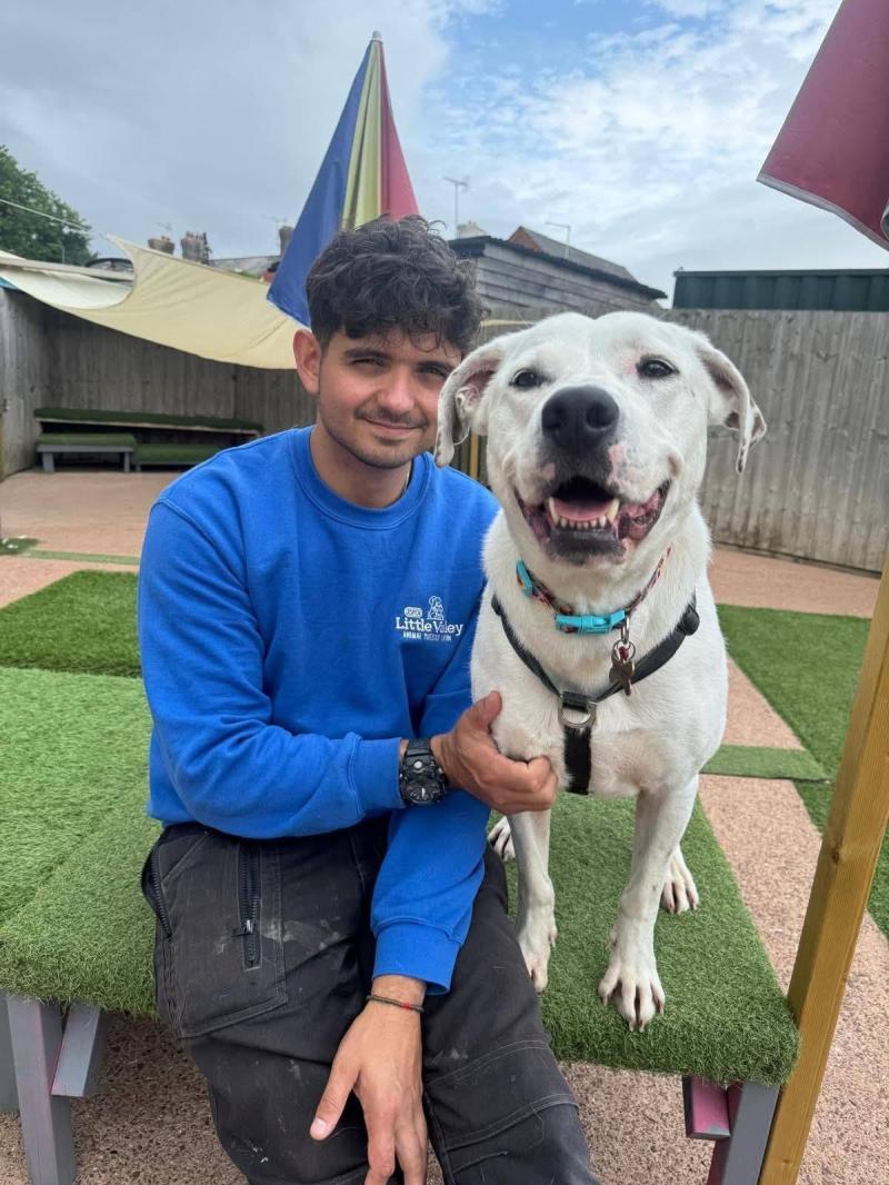 Exeter RSPCA Worker heads to Sri Lanka to aid street dogs