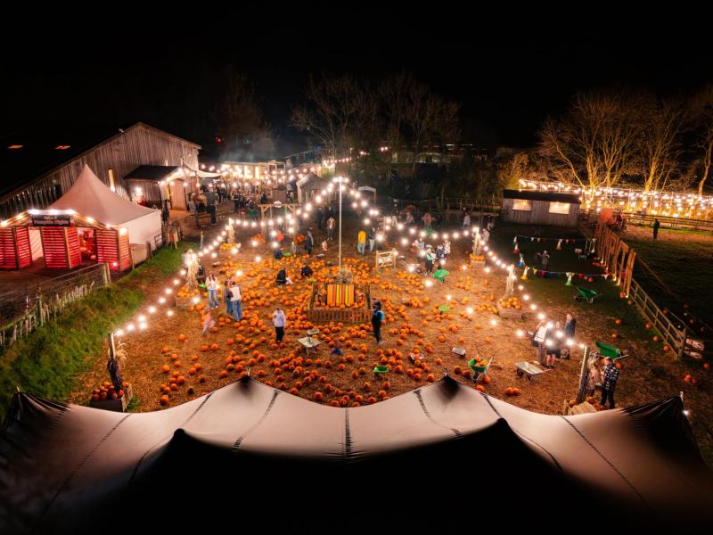 Pennywell Farm this October 