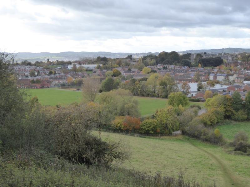 Exeter to lose two mature trees amid safety concerns
