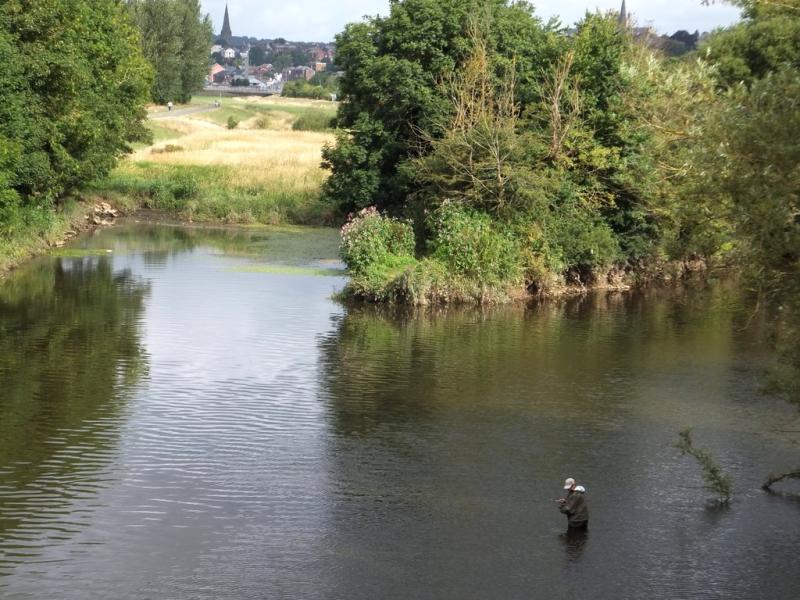 Council seeks full information from South West Water on River Exe sewage network