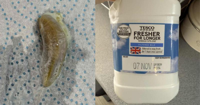 Horror for Exeter family as slug discovered in Tesco milk used in children’s breakfasts 