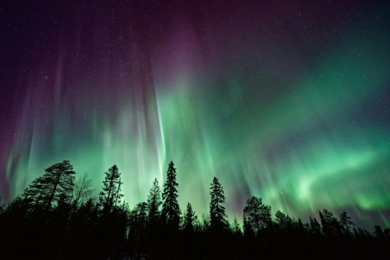  Look up, Exeter! Northern Lights may light up Devon skies this week