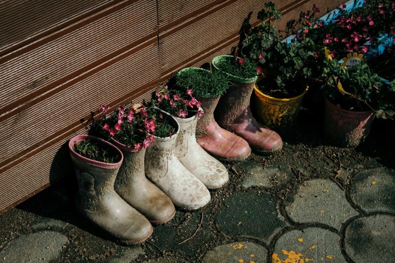 Gardening: What to do when the ground is too wet to work