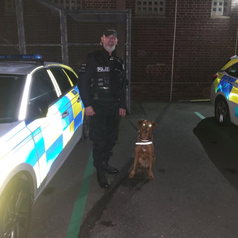 Drugs dog joins police operation at Torquay pubs