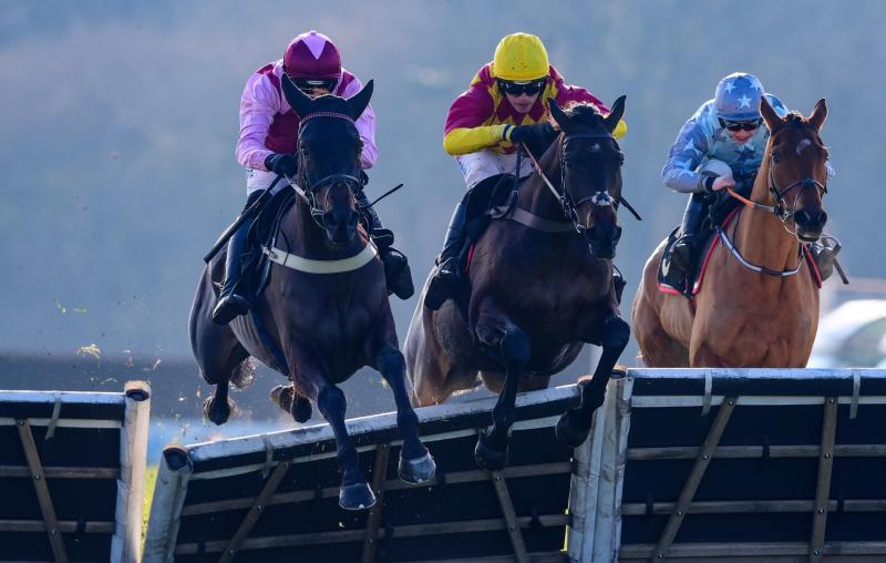 Super Sunday at Exeter Races. Pic from PPAUK