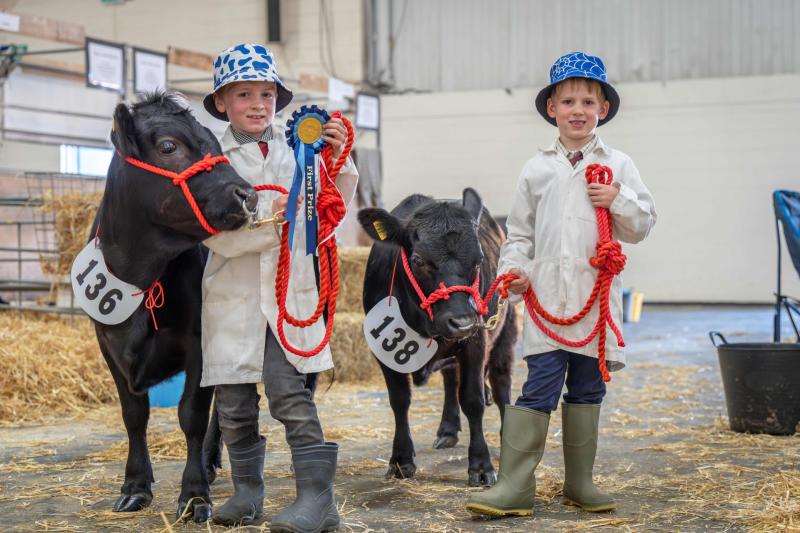Devon County Show expands livestock line-up for 2026