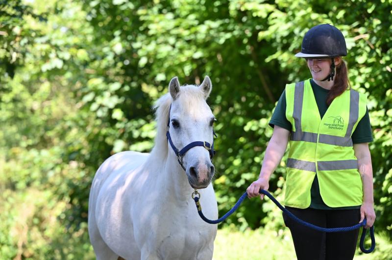 Alan and Mhaya Holloway