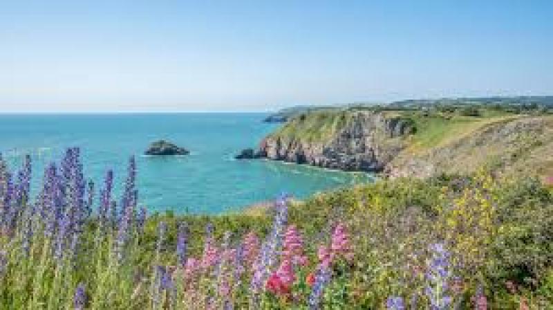 Photo from English Rivera