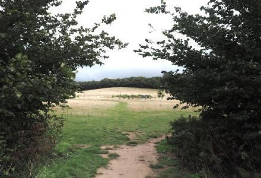 Dawlish Countryside Park (Image courtesy: southeastdevonwildlife.org.uk)