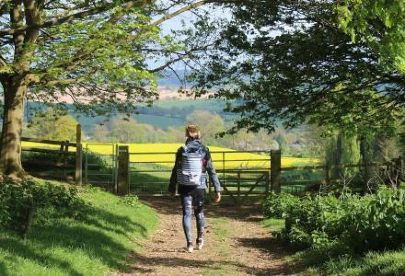 Ridgetop Park, Exeter (Image courtesy: southeastdevonwildlife.org.uk)