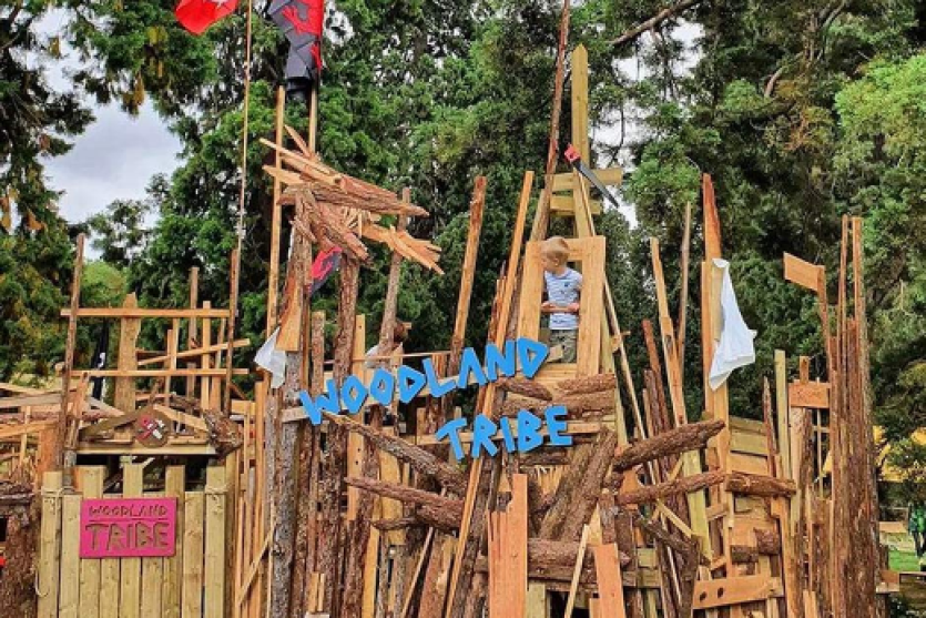 The Great Woodland Adventure: RHS Rosemoor