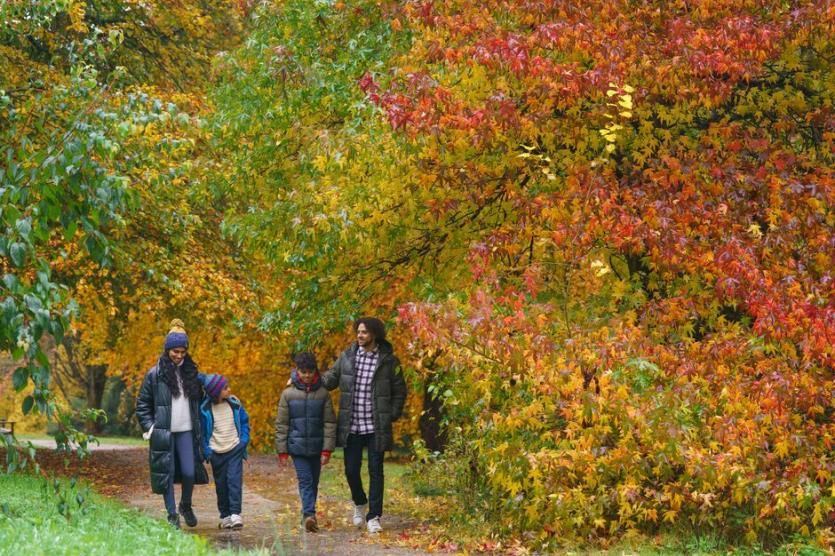 Wonder of Autumn celebrations at RHS Garden Rosemoor