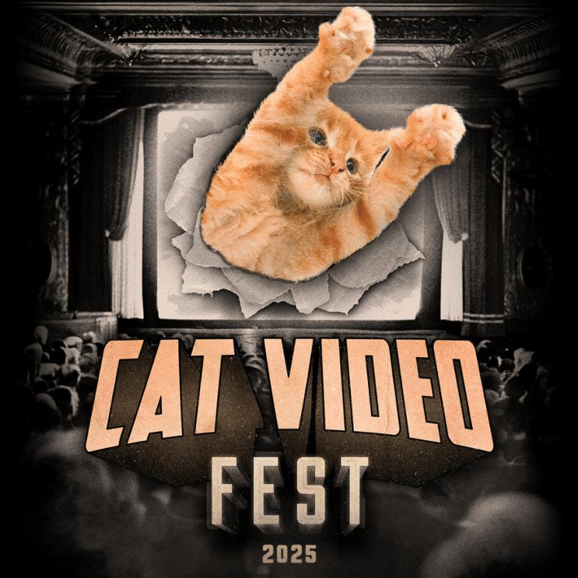 Cat Video Fest at Exeter Phoenix 