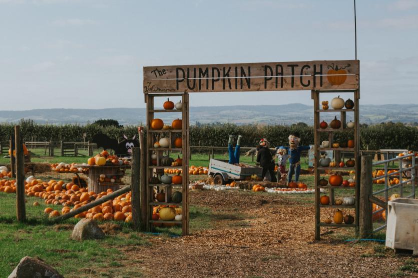 Pumpkin Trail at Greendale Farm Shop