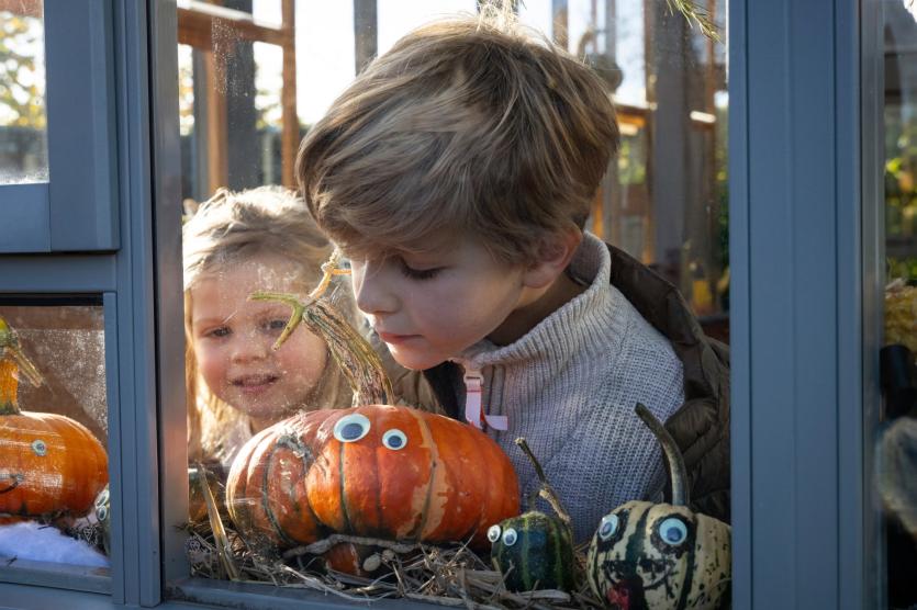 Pumpkin trail at RHS Rosemoor