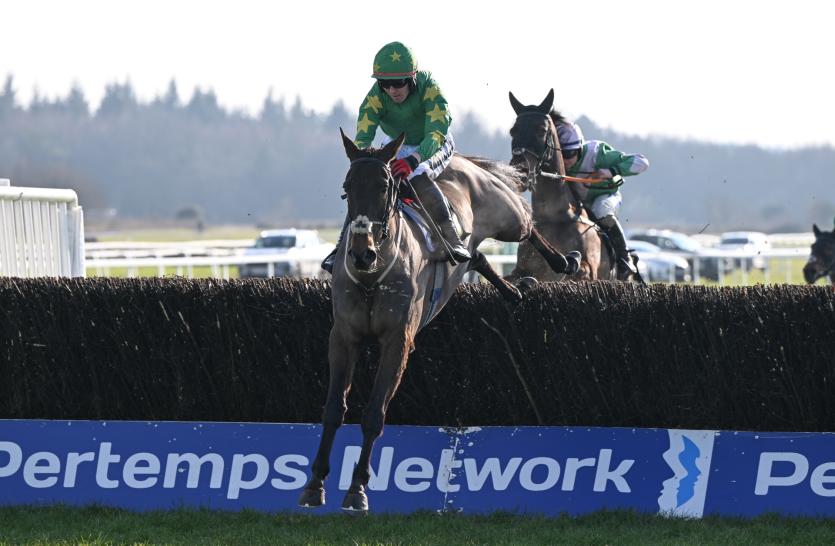 Super Sunday Raceday at Exeter Racecourse 