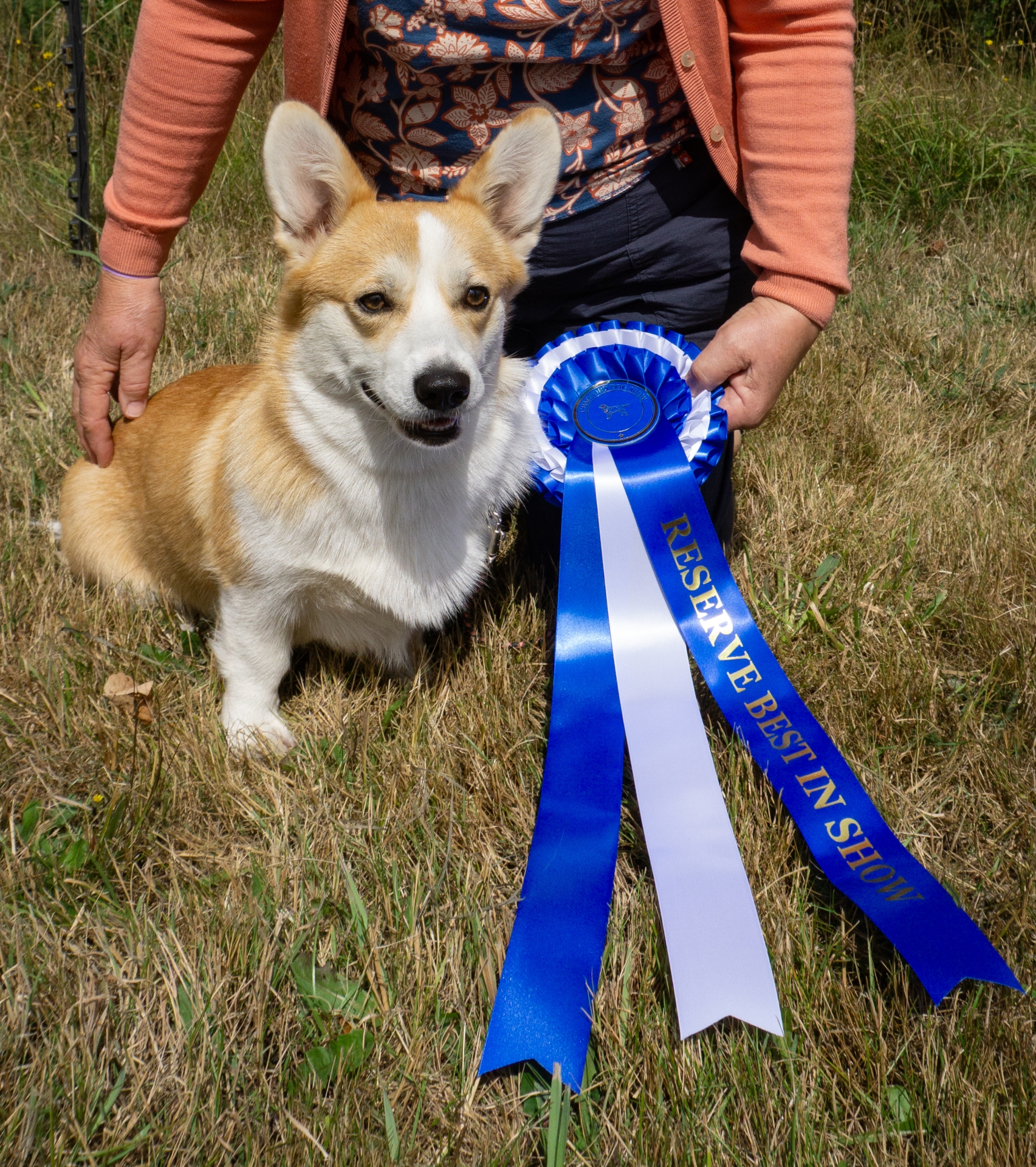 Chagford Dog Show / image by Helen Duvall